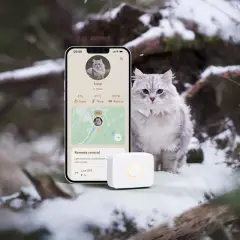 En grå katt sitter i snön bredvid en mobil som visar en karta och information om katten. En liten vit enhet ligger framför mobilen. Allt tyder på att det är en gps katt chip-lösning.