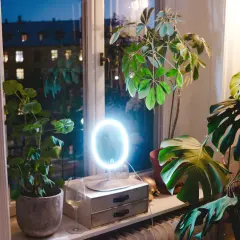 A lighted makeup mirror sits on a windowsill with plants and a glass of wine.