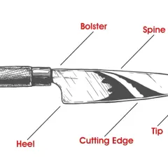 Illustration som visar knivens delar: butt, handtag, häl, bolster, rygg, egg, spets.