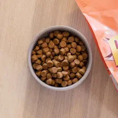En skål med hundfoder bredvid en påse. Detta kan vara det bästa hundfodret för känslig mage.