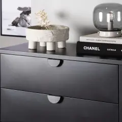 Svart byrå med två lådor, dekorerad med en kruka med torkad växt och böcker. Perfekt byrå sovrum inspiration.