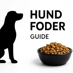 Sittande hundsilhuett bredvid en skål med hundfoder. Texten "HUND FODER GUIDE" syns.