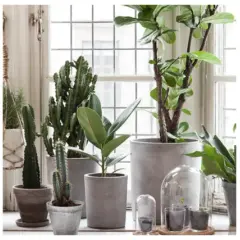 Sovrum med minimalistisk inredning, växter vid fönstret och en mysig sittplats.