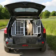 En glad hund sitter i en Artfex hundbur storleksguide i bagageutrymmet på en bil, redo för äventyr i det gröna landskapet.