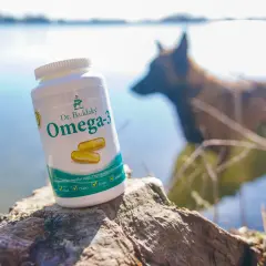 En burk Dr. Baddaky Omega-3 för hundar står på en sten vid vattnet. En hund syns i bakgrunden. Inga omega-3 hund biverkningar är kända.