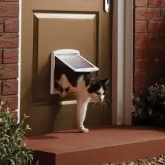 Svartvit katt kikar ut genom en isolerad kattlucka i en brun dörr, omgiven av grönska och tegel.
