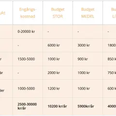 Tabell visar kostnader för kattägande. Engångskostnad för katt är 0-20000 kr. Årliga kostnader varierar, men hur mycket kostar en bondkatt? Budgeten kan vara 4000-10200 kr/år.