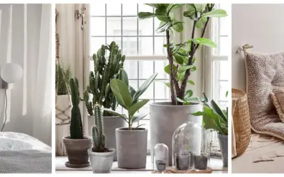 Sovrum med minimalistisk inredning, växter vid fönstret och en mysig sittplats.