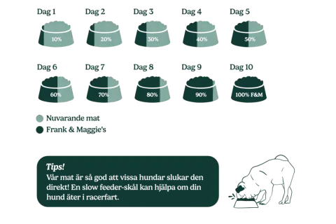 Schema för att byta foder hund över 10 dagar, från nuvarande mat till Frank & Maggie's. En hund äter ur en matskål.