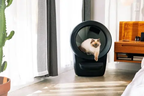 En vacker katt sitter i en självrengörande kattlåda bäst i test. Den moderna kattlådan är svart och har en rund öppning.