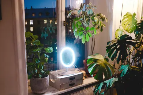 A lighted makeup mirror sits on a windowsill with plants and a glass of wine.