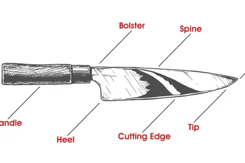Illustration som visar knivens delar: butt, handtag, häl, bolster, rygg, egg, spets.