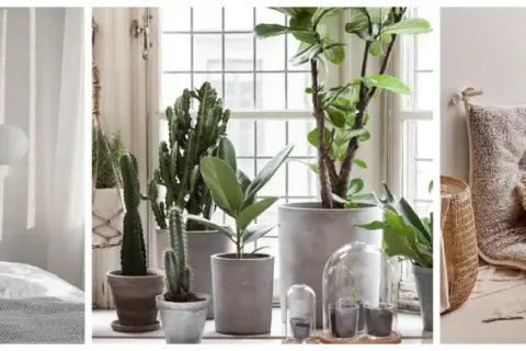 Sovrum med minimalistisk inredning, växter vid fönstret och en mysig sittplats.