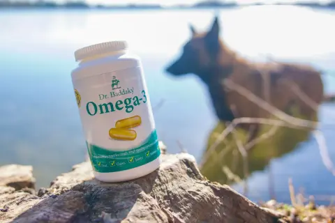 En burk Dr. Baddaky Omega-3 för hundar står på en sten vid vattnet. En hund syns i bakgrunden. Inga omega-3 hund biverkningar är kända.