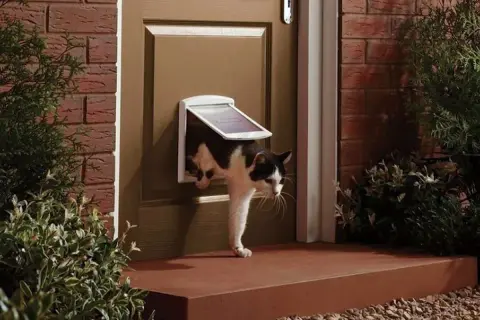 Svartvit katt kikar ut genom en isolerad kattlucka i en brun dörr, omgiven av grönska och tegel.