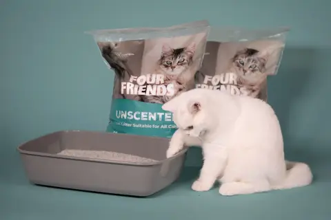 En vit katt undersöker en låda med kattsand som inte luktar. Två påsar med "Four Friends Unscented" syns i bakgrunden.