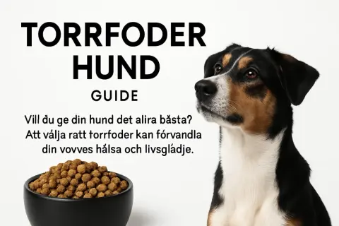 En hund tittar uppmärksamt bredvid en skål med torrfoder. Texten "Torrfoder Hund Guide" och "Vill du ge din hund det allra bästa?" antyder att detta är en guide till bästa hundfodret för små hundar.