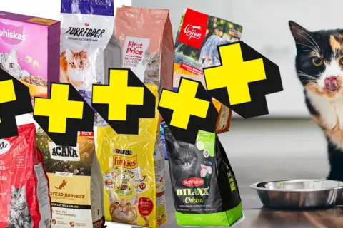 En kattunge som slickar sig runt munnen bredvid olika sorters kattunge mat. Bäst i test för din kattunge.
