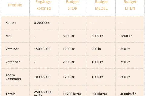 Tabell visar kostnader för kattägande. Engångskostnad för katt är 0-20000 kr. Årliga kostnader varierar, men hur mycket kostar en bondkatt? Budgeten kan vara 4000-10200 kr/år.