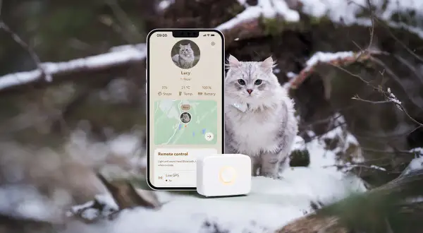 En grå katt sitter i snön bredvid en mobil som visar en karta och information om katten. En liten vit enhet ligger framför mobilen. Allt tyder på att det är en gps katt chip-lösning.