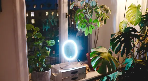 A lighted makeup mirror sits on a windowsill with plants and a glass of wine.