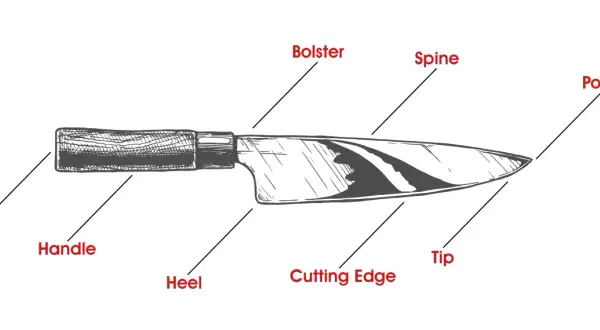 Illustration som visar knivens delar: butt, handtag, häl, bolster, rygg, egg, spets.