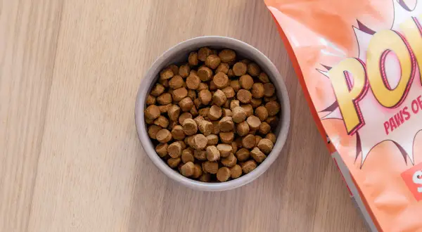 En skål med hundfoder bredvid en påse. Detta kan vara det bästa hundfodret för känslig mage.