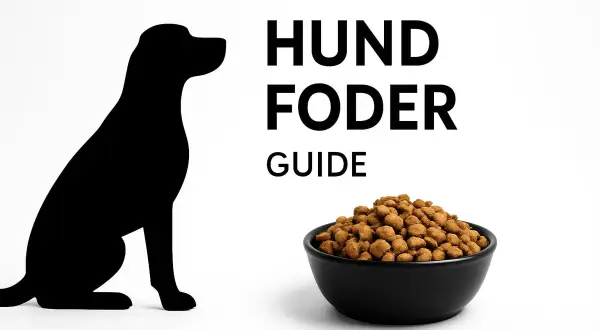 Sittande hundsilhuett bredvid en skål med hundfoder. Texten "HUND FODER GUIDE" syns.
