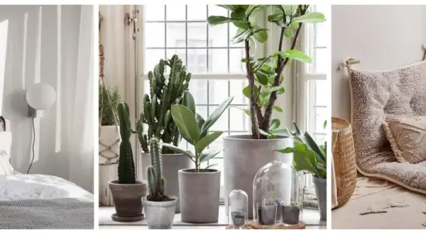 Sovrum med minimalistisk inredning, växter vid fönstret och en mysig sittplats.
