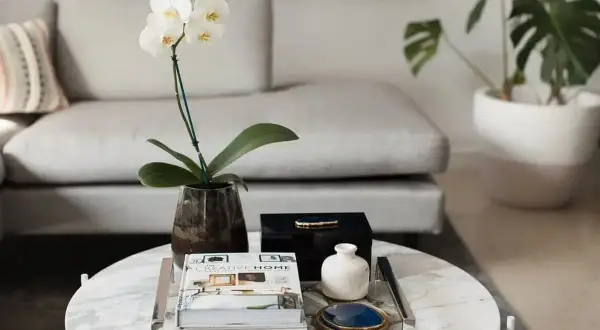 En vit orkidé i en mörk vas, böcker och en svart ask med stenprydnad utgör en elegant dekoration på soffbordet.