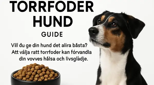 En hund tittar uppmärksamt bredvid en skål med torrfoder. Texten "Torrfoder Hund Guide" och "Vill du ge din hund det allra bästa?" antyder att detta är en guide till bästa hundfodret för små hundar.