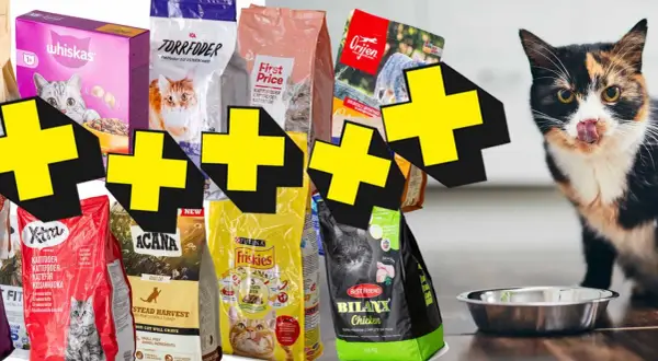 En kattunge som slickar sig runt munnen bredvid olika sorters kattunge mat. Bäst i test för din kattunge.