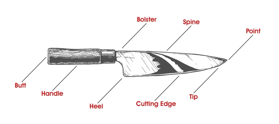 Illustration som visar knivens delar: butt, handtag, häl, bolster, rygg, egg, spets.