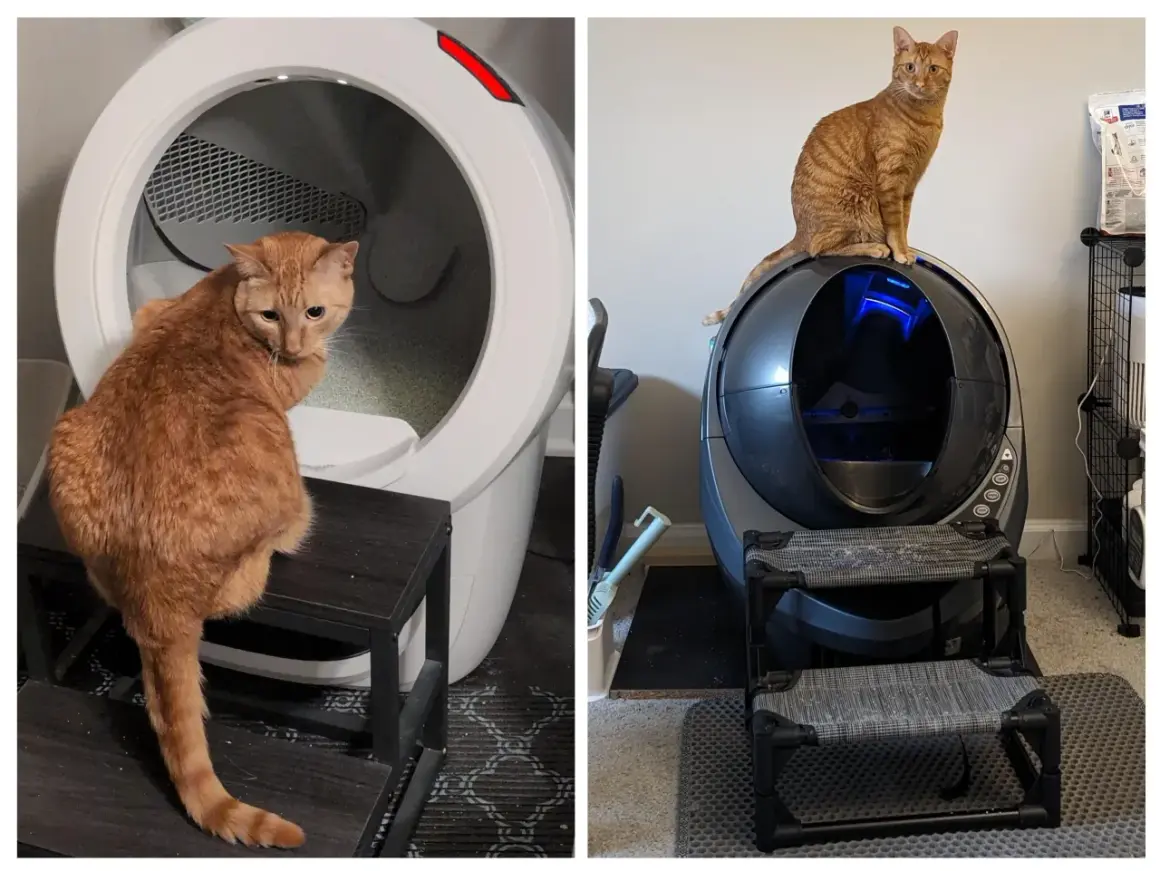 Två orange katter sitter på eller bredvid moderna, självrengörande kattlådor. En katt tittar in i en vit enhet, den andra sitter ovanpå en mörk enhet. En luktfri kattlåda är en dröm för alla kattägare.
