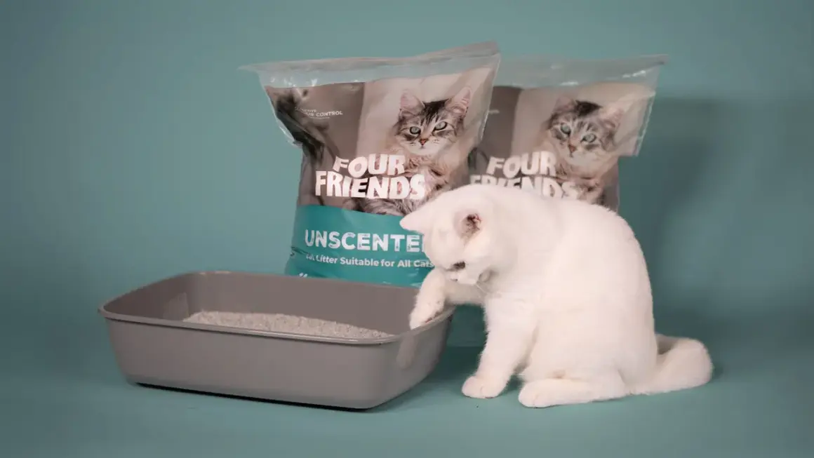 En vit katt undersöker en låda med kattsand som inte luktar. Två påsar med "Four Friends Unscented" syns i bakgrunden.