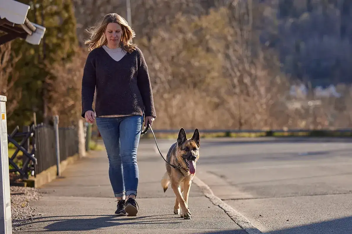 Kvinna promenerar med en glad schäferhund i koppel längs en trottoar.