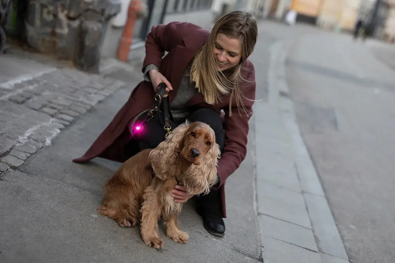 Glad kvinna med en söt cocker spaniel i en stadsmiljö. Hunden är av en lagom cocker spaniel storlek för att vara en trogen följeslagare.