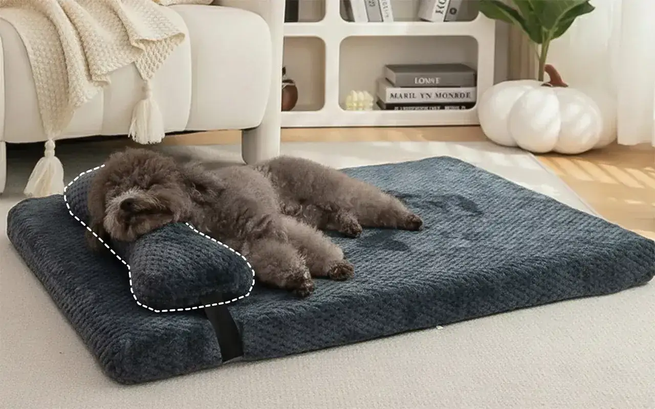 En söt valp sover djupt på en mjuk hundbädd.
