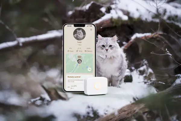 En grå katt sitter i snön bredvid en mobil som visar en karta och information om katten. En liten vit enhet ligger framför mobilen. Allt tyder på att det är en gps katt chip-lösning.