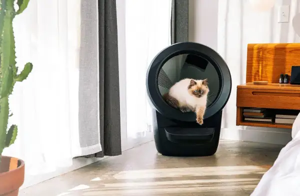 En vacker katt sitter i en självrengörande kattlåda bäst i test. Den moderna kattlådan är svart och har en rund öppning.