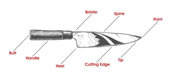 Illustration som visar knivens delar: butt, handtag, häl, bolster, rygg, egg, spets.
