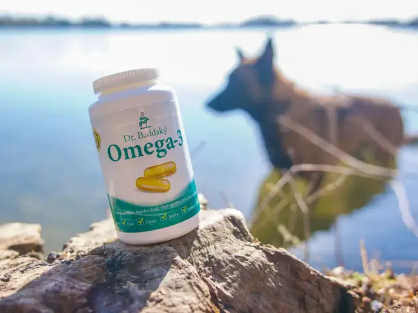 En burk Dr. Baddaky Omega-3 för hundar står på en sten vid vattnet. En hund syns i bakgrunden. Inga omega-3 hund biverkningar är kända.